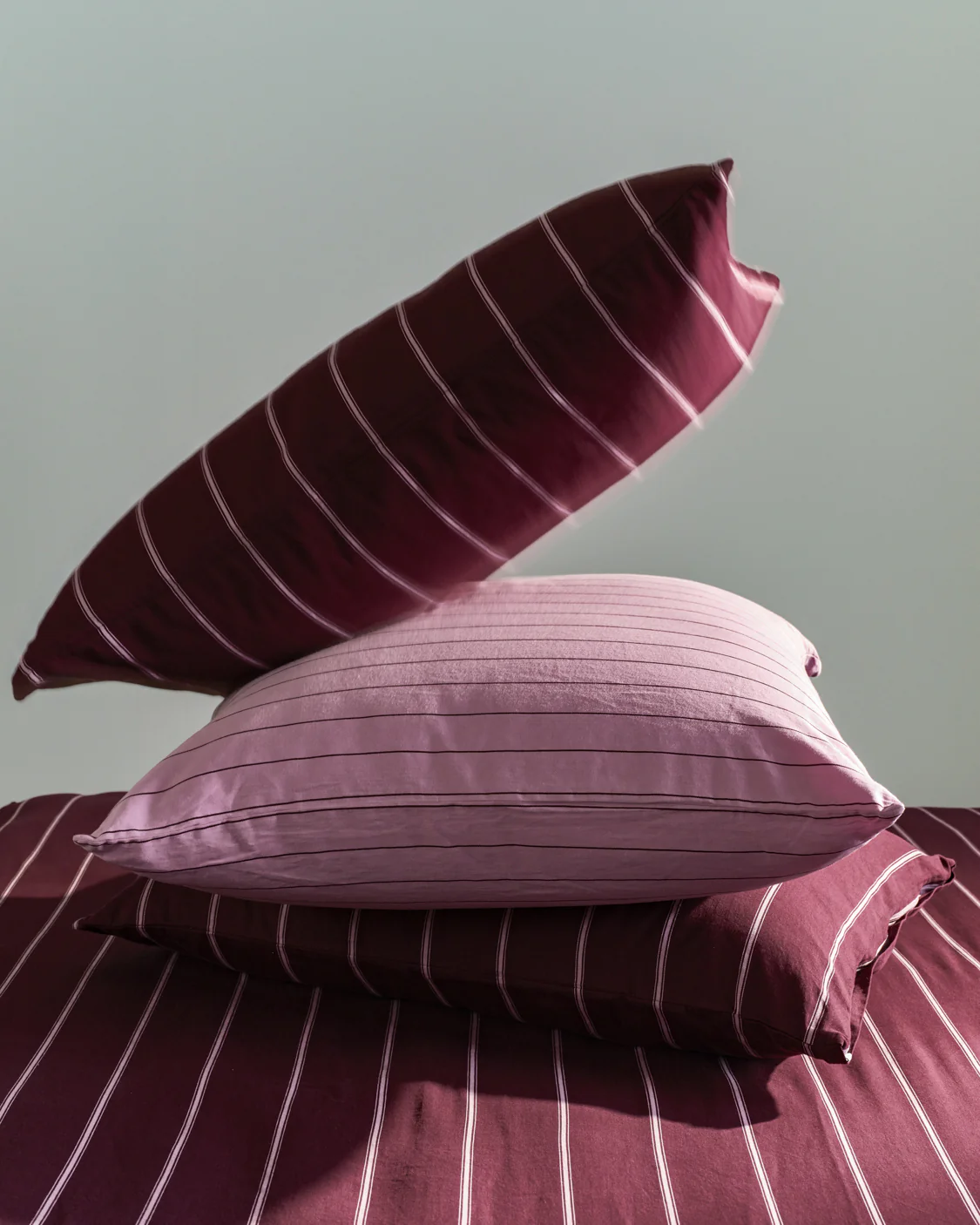 European Pillowcase - Aster - Image 3