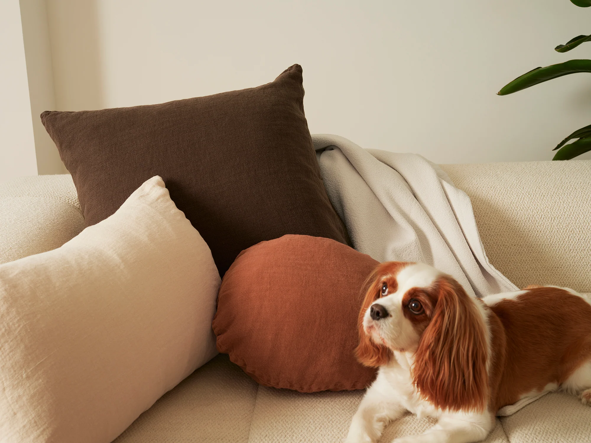 Lumbar Linen - Oat Cushion - Image 4