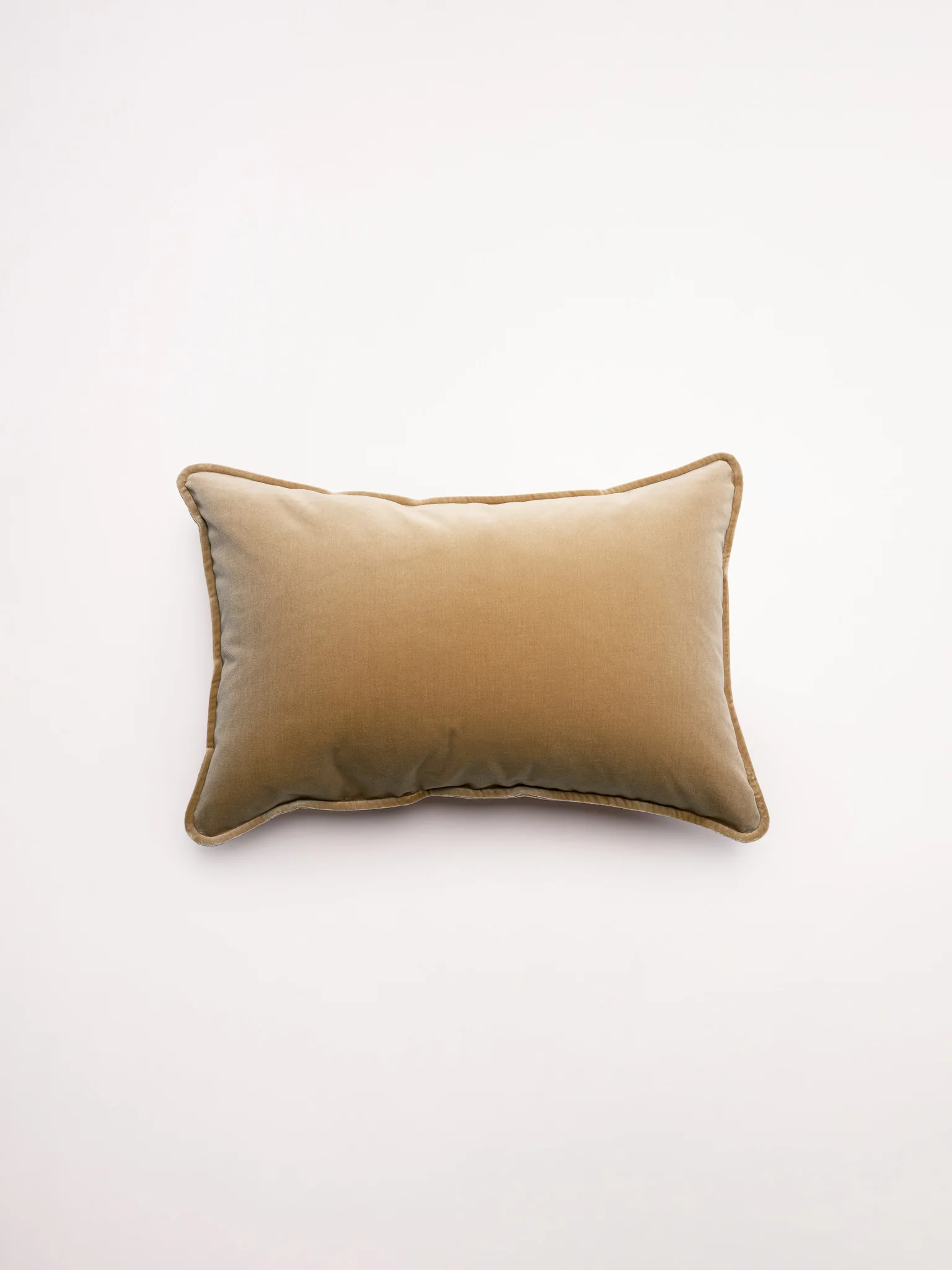 Lumbar Velvet - Latte Cushion
