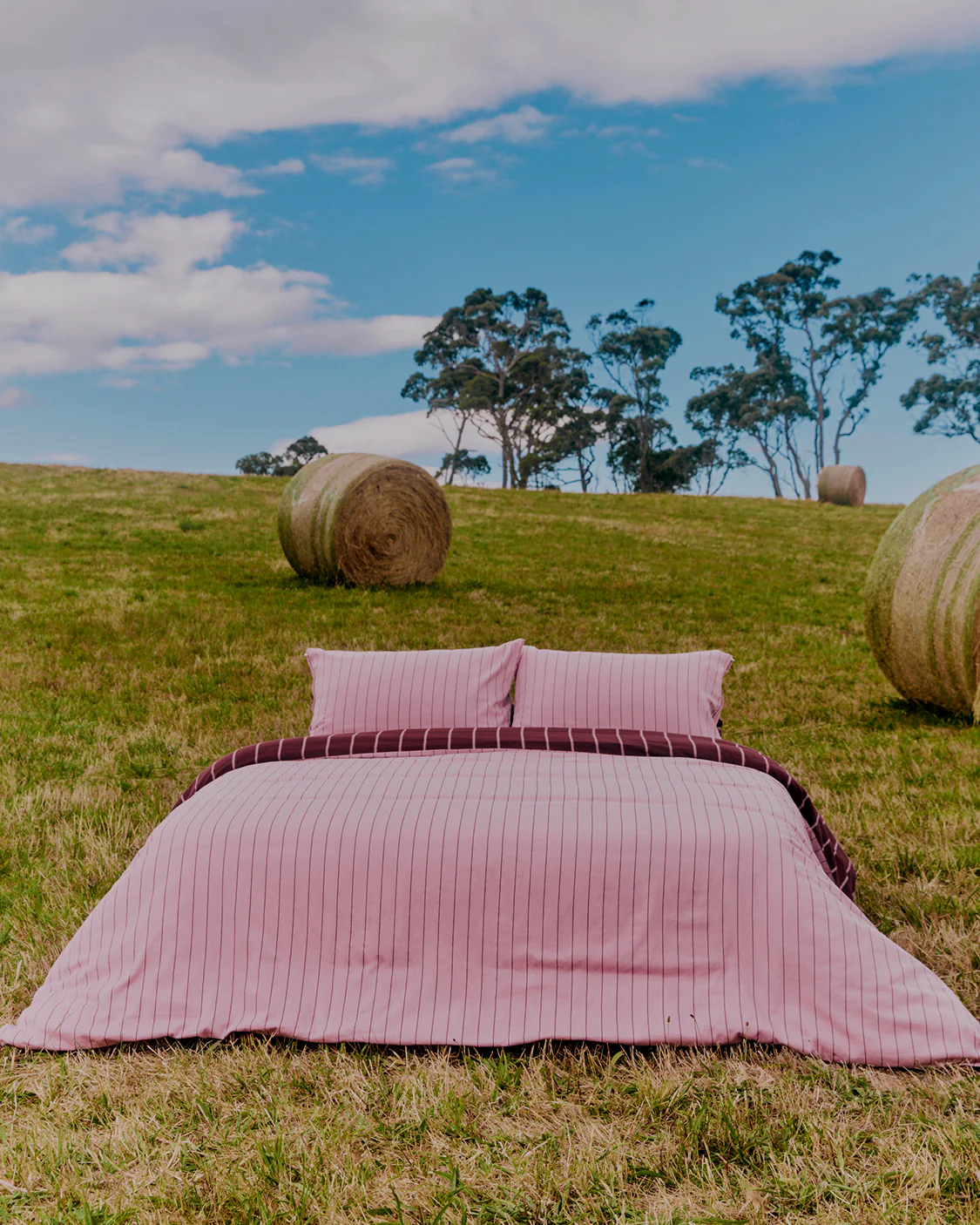 Pillowcase Pair - Aster - Image 7